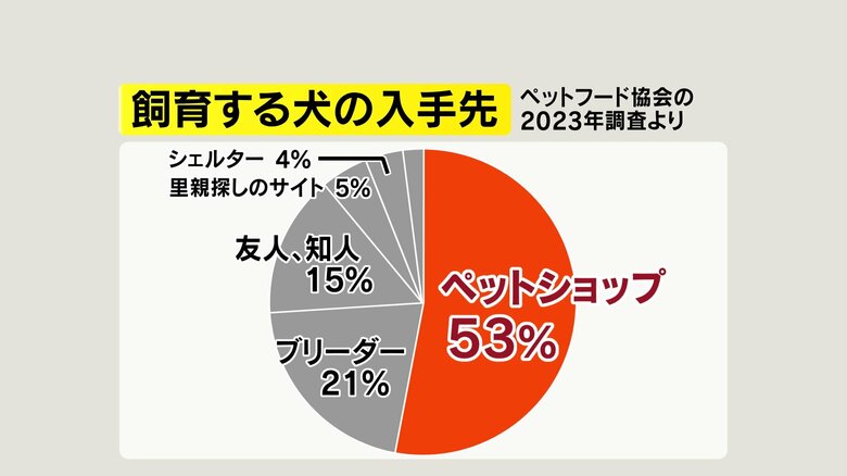 飼育する犬の入手先