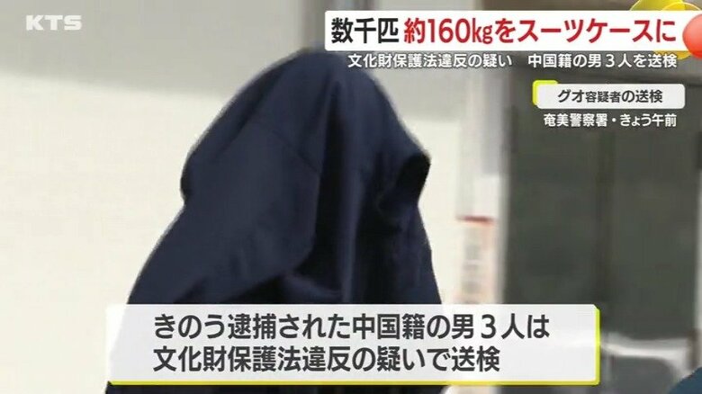 3人は文化財保護法違反の疑いで送検された