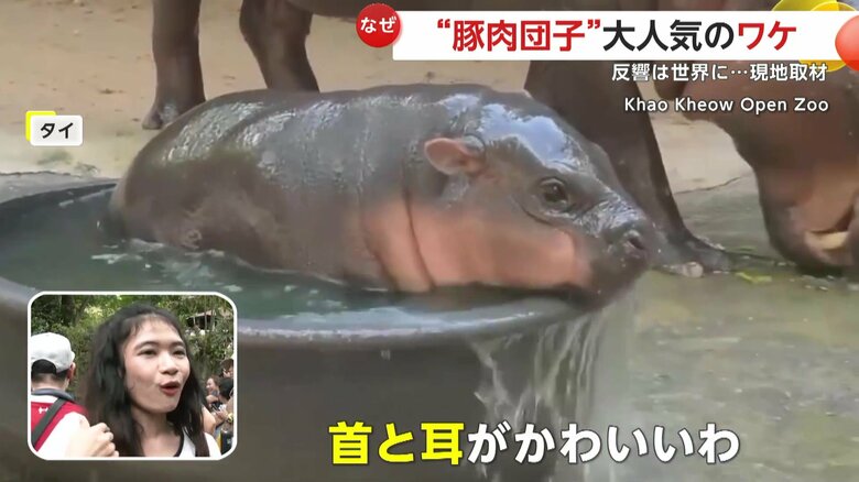 （提供：Khao Kheow Open Zoo）