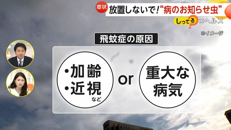 原因として加齢や近視などが多い一方、重大な病気が隠れていることもある「飛蚊症」