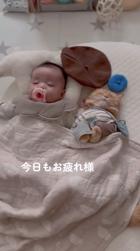 提供：ひなまる色さん