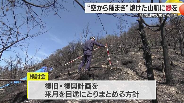 早急に緑化することが第一