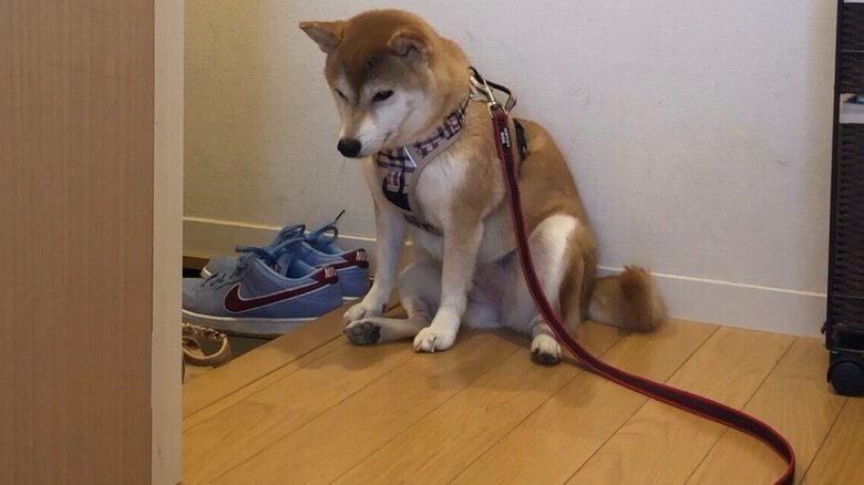 足が汚れてお風呂を悟ったときの様子