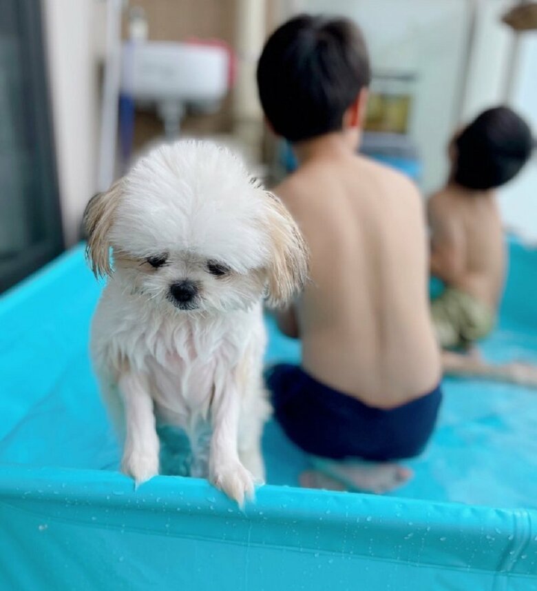 出してほしい…