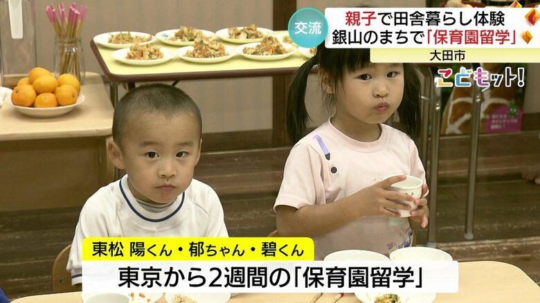 碧くん(左)、郁ちゃん(右)