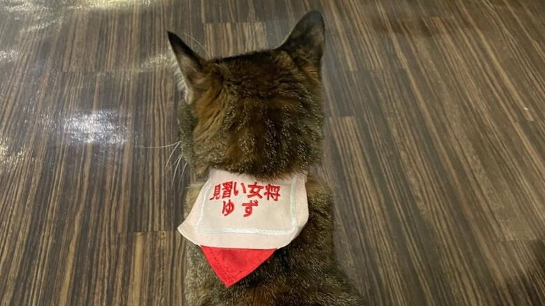 一人前の女将姿を見れるのはもうすこし先かも？