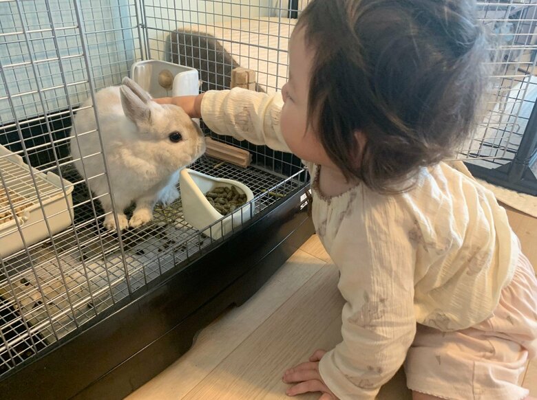 ミロくん（提供：うさぎと暮らしと。さん）