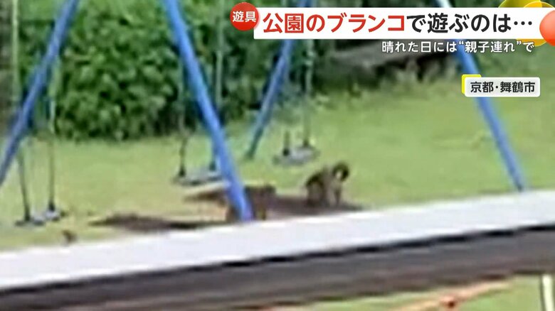 早く代わってと、まるで人間のようなそぶりを見せるサル①