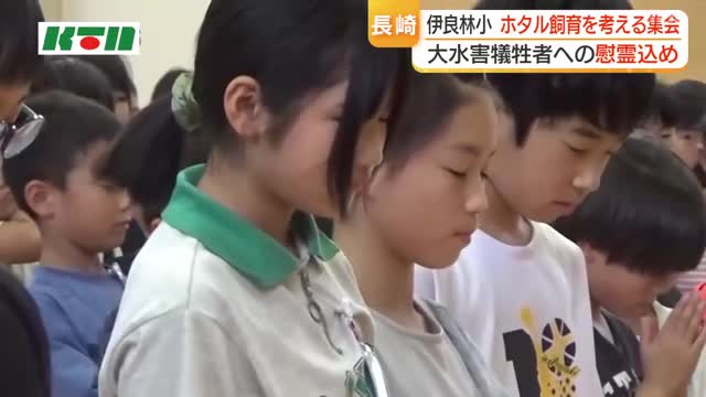 長崎大水害犠牲者への思い込め ホタル飼育続ける長崎市の小学校で「放