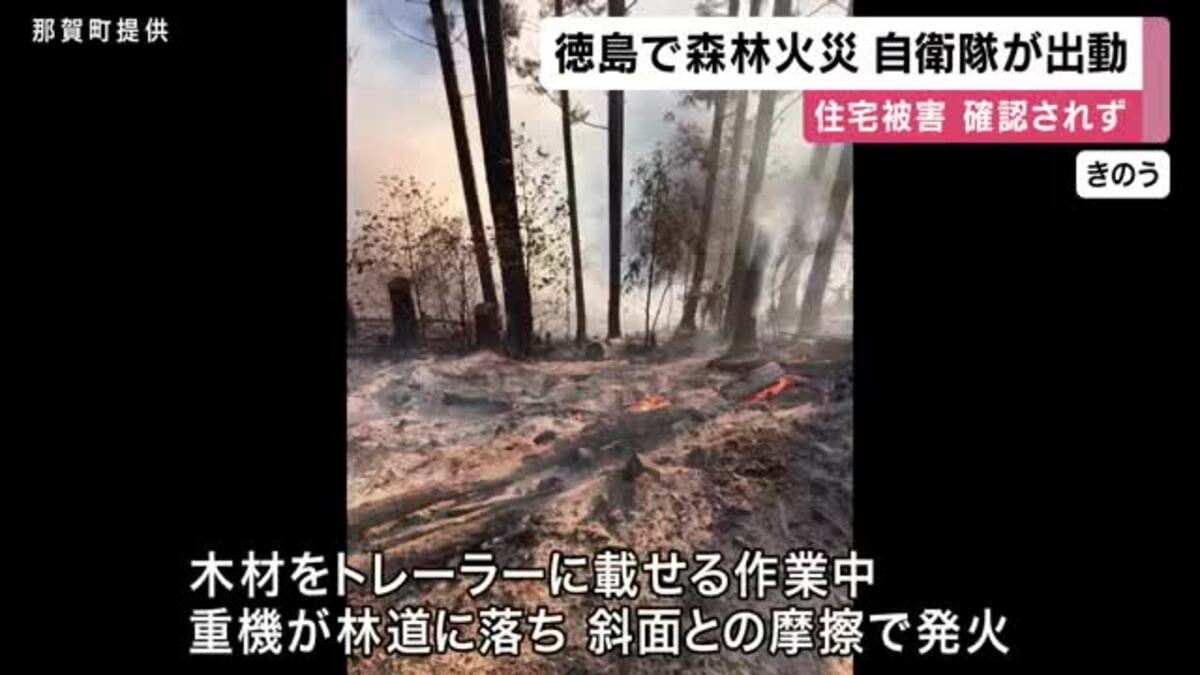 徳島県那賀町で山林火災 派遣要請を受けた自衛隊などが消火活動 重機が