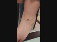 「カス」等の発言も…小学校の女性教師が児童5人に“正座を強要” 約30分にわたった児童は足の皮めくれるケガ