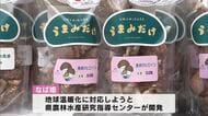乾シイタケの大分県産ブランドに新品種「なば姫」加わる　温暖化でも肉厚に生育　県が開発　店頭販売へ