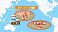 「スーパーエルニーニョ」10月頃に発生か　非常に強い台風、豪雨に注意　食料価格13%上がる試算も