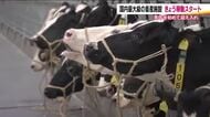 国内最大級の酪農施設　完成後初めて乳牛を迎え入れる　最先端技術を活用し生乳を出荷　福島・浪江町