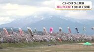 雪が残る山々、咲き誇るサクラ、悠々と泳ぐこいのぼり　勝山「弁天桜」が例年より1週間早く見頃　今週末には満開に　福井