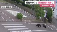 4人ケガの熊被害から一夜　福島市の工場敷地内にクマ居座る　麻酔銃や箱わなで捕獲めざし警戒続く　