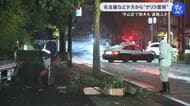 名古屋では倒木が道を塞いだ所も…愛知と岐阜の各地で一時『ゲリラ豪雨』恵那市では1時間に61.5ミリの非常に激しい雨を観測