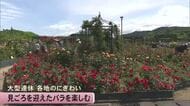 約6000株のバラが咲き誇る”ローズフェスタ”開催中　水俣エコパーク【熊本】