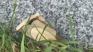 公園にばらまかれていた大量の旧1万円札…すべて切り刻まれた状態で発見…いったい誰が、何のために？ホンモノかニセモノか警察が回収して捜査＜北海道稚内市＞