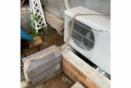 実家の庭で見つかったのは大きな“ヘビの抜け殻”! どんなヘビなのか専門家に聞いてみた