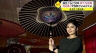 誕生200年の和傘の伝統継承 存続の危機脱出へ米子城跡で見つかった木でメイドイン鳥取を(米子市)