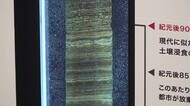 世界初公開 古代マヤ文明時代の「年縞」 福井県年縞博物館 特別企画展