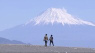 2月23日は富士山の日 三保松原の松ぼっくりで飾りを作ろう! 静岡市清水区