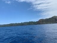 小笠原諸島・南島「イルカと一緒に泳げる」ツアーも！世界遺産のエコツーリズムを支える観光ガイド　北海道・知床ではクマ親子に遭遇