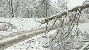 盛岡で初雪 交通機関に乱れも<岩手県>