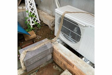 実家の庭で見つかったのは大きな“ヘビの抜け殻”! どんなヘビなのか専門家に聞いてみた