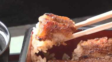 ウナギ完全養殖に成功 期待高まる安定供給