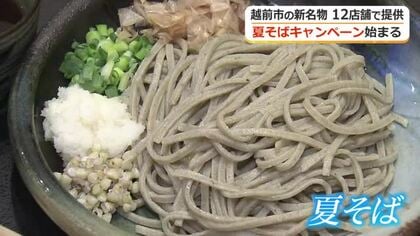 希少な「夏そば」味わって　口いっぱいに広がる爽やかでフレッシュな香り　越前市内12店舗で30日まで提供