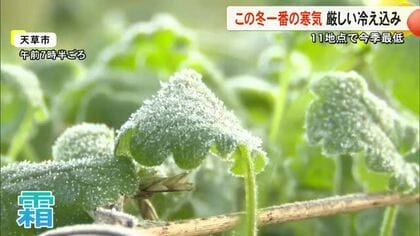 寒気で犬もブルブル　県内今季一番の冷え込み【熊本】