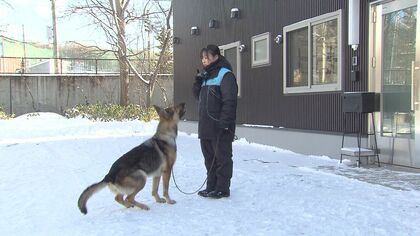 【密着】「ベストパートナーになりたい」“鼻の捜査官”警察犬と最強タッグ目指す若手警察官の訓練の現場 カギは息を合わせられる『信頼関係』作り！北海道