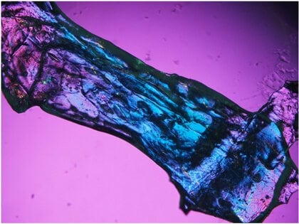 【大阪工業大学】海の宝石に着想得た新発光材料を開発