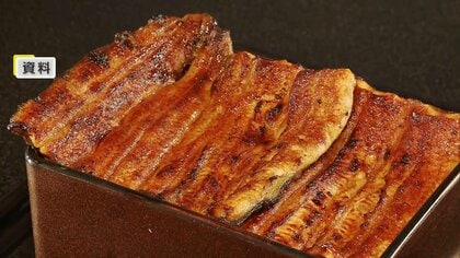 【速報】ニホンウナギ含むウナギ全種類を国際取引の規制対象にする案は「否決」　12月5日本会議で可決の可能性も