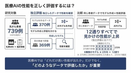【新潟医療福祉大学】医療AIの性能評価では「どれだけ高い性能か」だけでなく「どのデータで評価したか」が重要