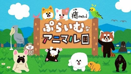 癒されたいっ！ぷらいむなアニマル園