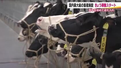国内最大級の酪農施設　完成後初めて乳牛を迎え入れる　最先端技術を活用し生乳を出荷　福島・浪江町