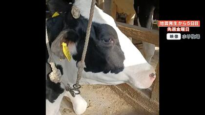 「どうか支援を！」酪農団地からのSOS  震災後から続く断水に乳牛の飲み水枯渇「どんどん痩せていって…」【能登半島地震】