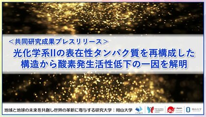 光化学系IIの表在性タンパク質を再構成した構造から酸素発生活性低下の一因を解明〔静岡大学, 岡山大学〕