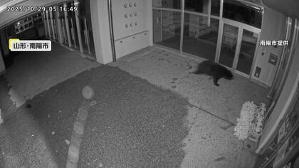 クマ出没相次ぐ　福井・勝山市で“緊急銃猟”で2頭駆除　埼玉・飯能市のキャンプ場では“オオカミの尿”や撃退スプレー貸し出しなど対策