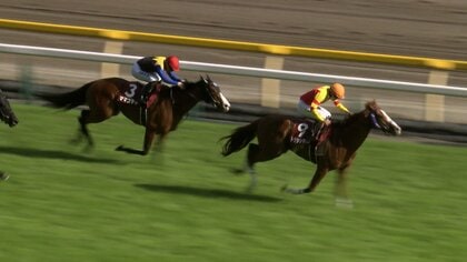 【紫苑S＆セントウルS】秋競馬スタート！ラストティアラ・秋華賞への熱きトライアル＆スプリント王目指す2頭が6度目の直接対決！