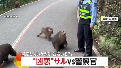「武器いる？」“凶悪”サルVS警察官！何度も歯を剥き出し襲い掛かり群れで追い込む…一斉に“クラクション”鳴らしサルを撃退　中国・安徽省