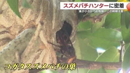 img_7100fa5d2437020364458e0a4d