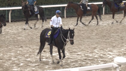JRA 競馬 細江 純子 騎手 ジョッキーパンツ