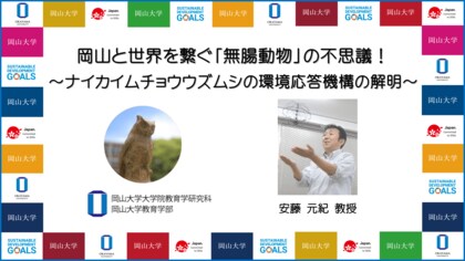 岡山大学 岡山と世界を繋ぐ 無腸動物 の不思議 ナイカイムチョウウズムシ