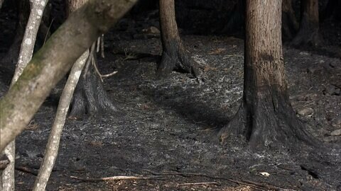【速報】大船渡市が山火事の鎮圧を発表　避難指示継続中の地域も10日正午までに解除へ