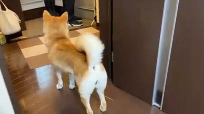 毎朝しっかりお見送りをする