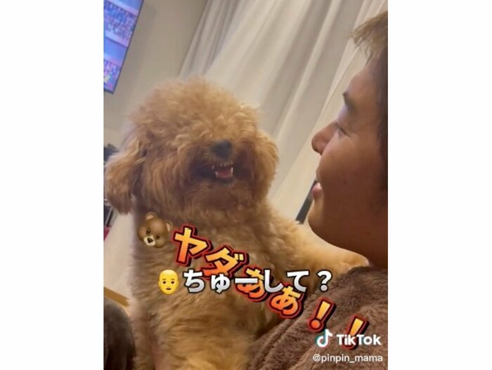提供:ピン太郎ママさん